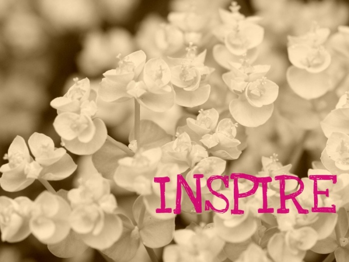Inspire Flowers